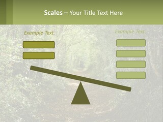 A Path In The Middle Of A Forest With Lots Of Trees PowerPoint Template