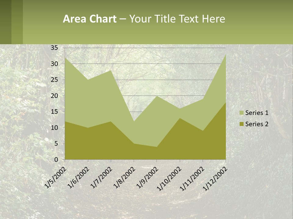 A Path In The Middle Of A Forest With Lots Of Trees PowerPoint Template