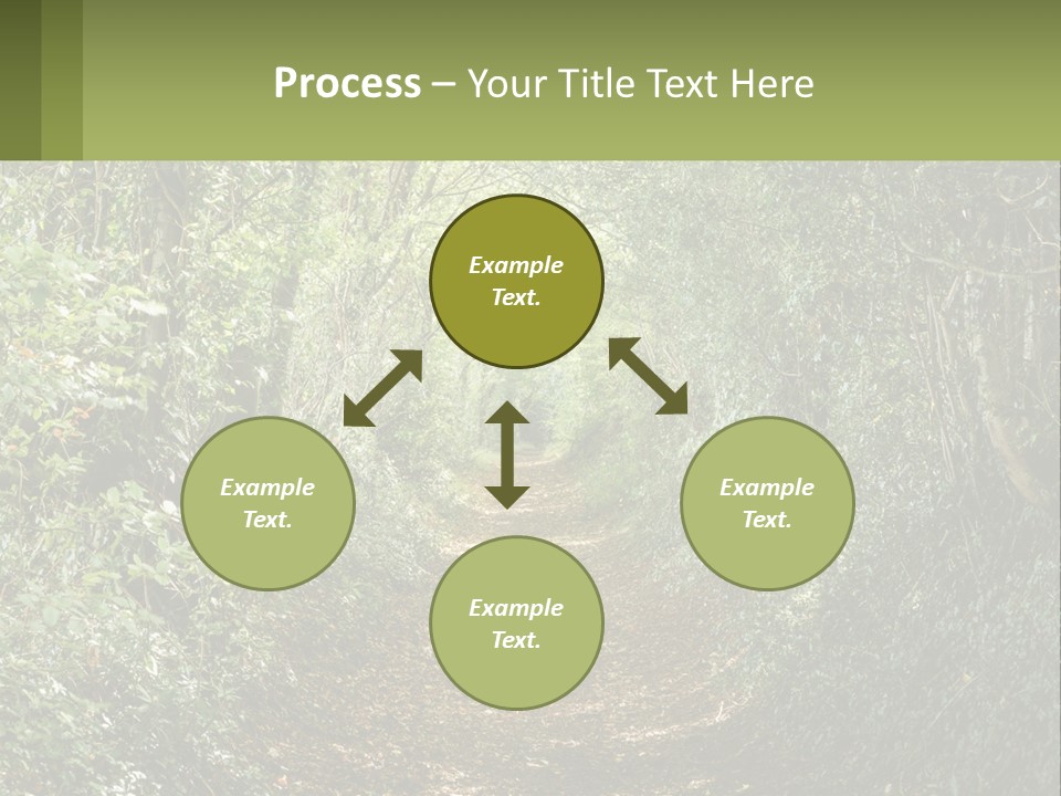 A Path In The Middle Of A Forest With Lots Of Trees PowerPoint Template