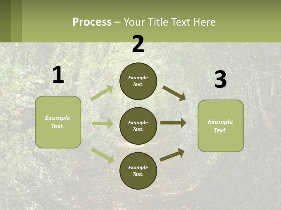A Path In The Middle Of A Forest With Lots Of Trees PowerPoint Template