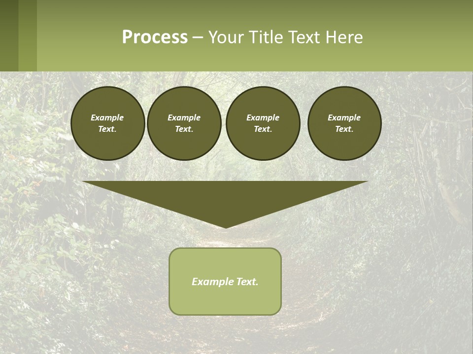 A Path In The Middle Of A Forest With Lots Of Trees PowerPoint Template
