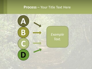 A Path In The Middle Of A Forest With Lots Of Trees PowerPoint Template