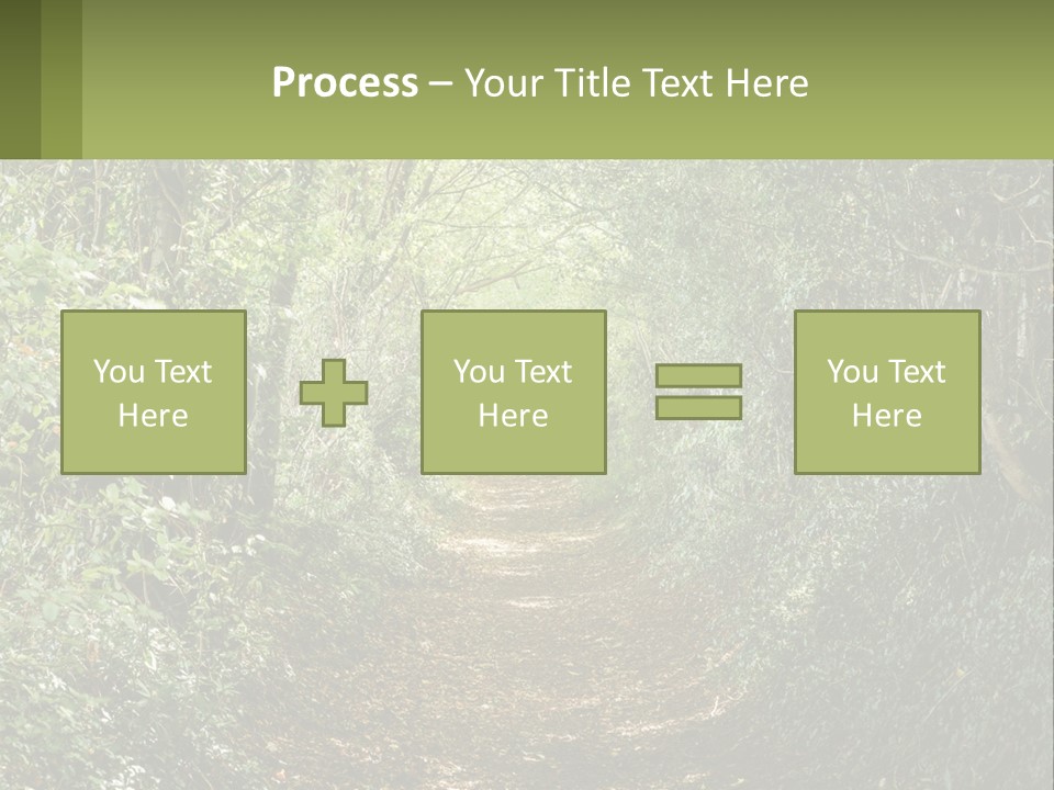 A Path In The Middle Of A Forest With Lots Of Trees PowerPoint Template