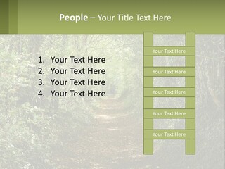 A Path In The Middle Of A Forest With Lots Of Trees PowerPoint Template