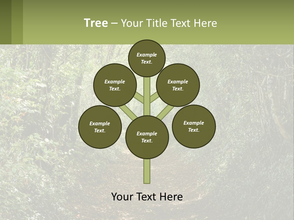 A Path In The Middle Of A Forest With Lots Of Trees PowerPoint Template