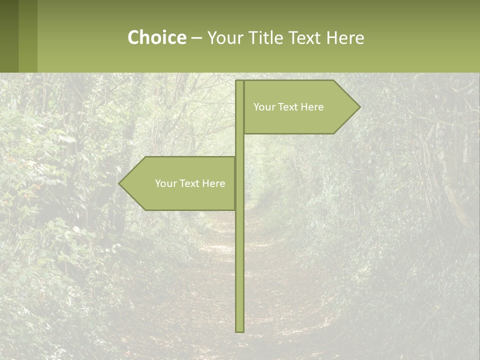 A Path In The Middle Of A Forest With Lots Of Trees PowerPoint Template