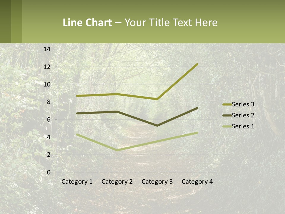 A Path In The Middle Of A Forest With Lots Of Trees PowerPoint Template