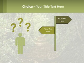A Path In The Middle Of A Forest With Lots Of Trees PowerPoint Template