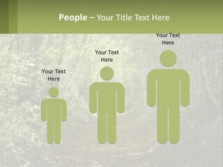A Path In The Middle Of A Forest With Lots Of Trees PowerPoint Template