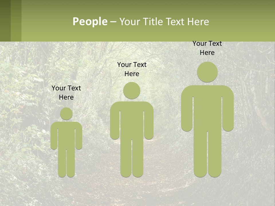 A Path In The Middle Of A Forest With Lots Of Trees PowerPoint Template