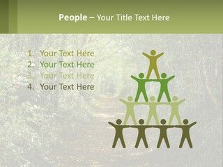 A Path In The Middle Of A Forest With Lots Of Trees PowerPoint Template