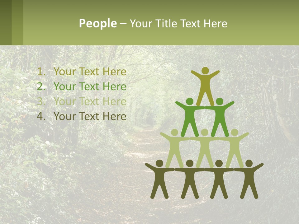 A Path In The Middle Of A Forest With Lots Of Trees PowerPoint Template