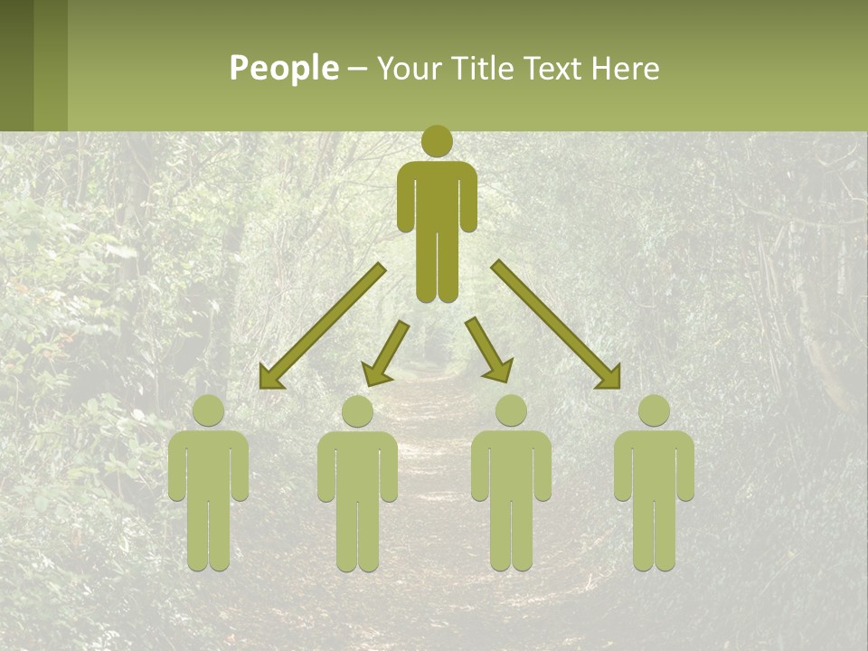 A Path In The Middle Of A Forest With Lots Of Trees PowerPoint Template