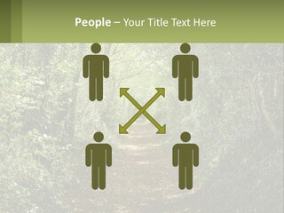 A Path In The Middle Of A Forest With Lots Of Trees PowerPoint Template