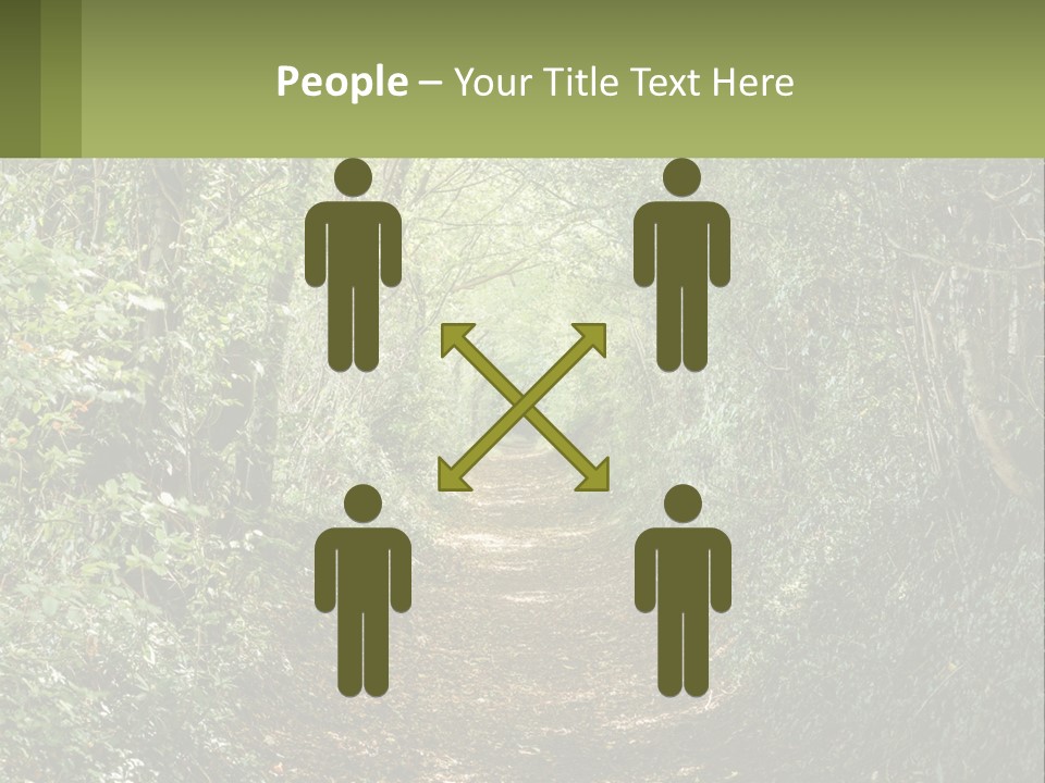 A Path In The Middle Of A Forest With Lots Of Trees PowerPoint Template