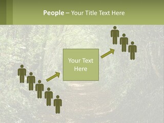 A Path In The Middle Of A Forest With Lots Of Trees PowerPoint Template