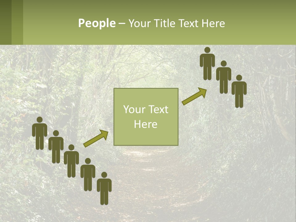 A Path In The Middle Of A Forest With Lots Of Trees PowerPoint Template