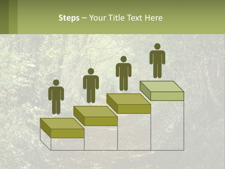 A Path In The Middle Of A Forest With Lots Of Trees PowerPoint Template