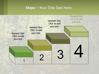 A Path In The Middle Of A Forest With Lots Of Trees PowerPoint Template