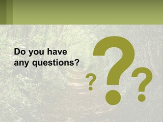 A Path In The Middle Of A Forest With Lots Of Trees PowerPoint Template