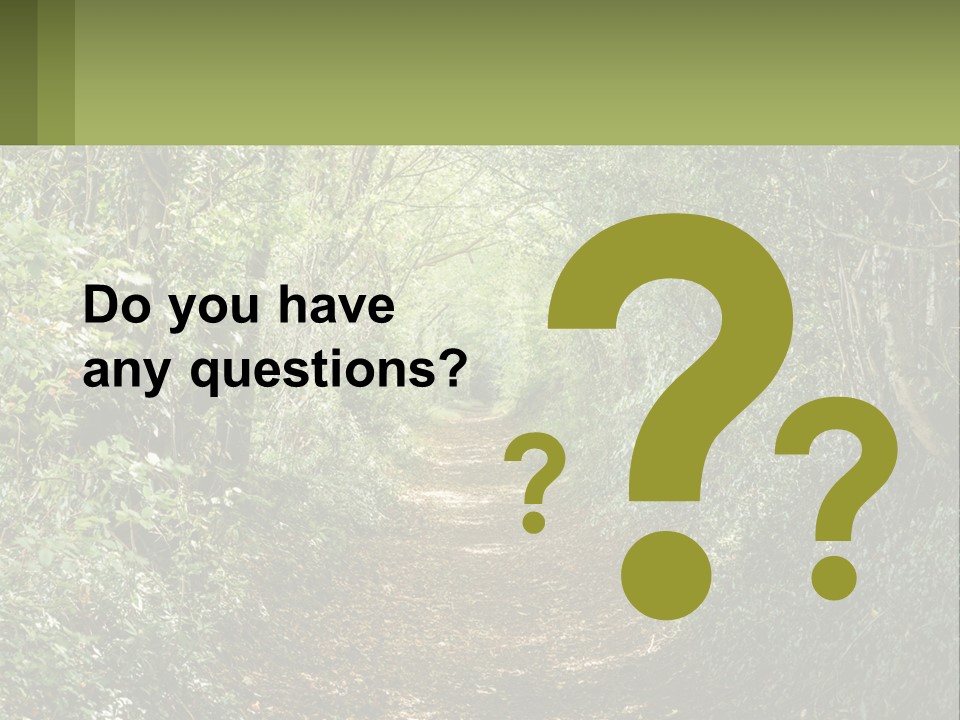 A Path In The Middle Of A Forest With Lots Of Trees PowerPoint Template