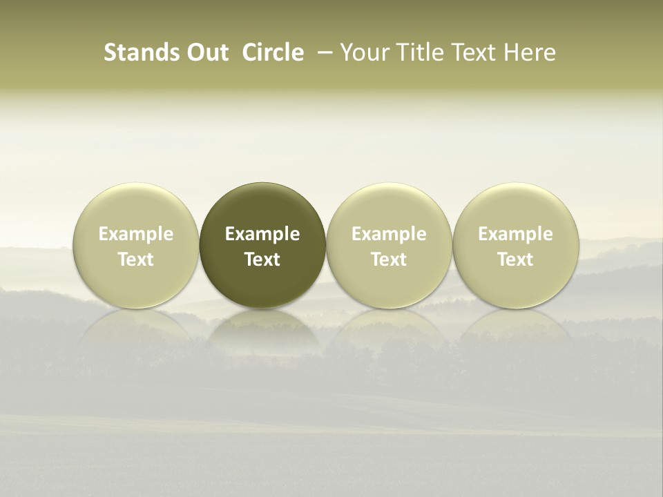 A Field With Trees And Fog In The Background PowerPoint Template