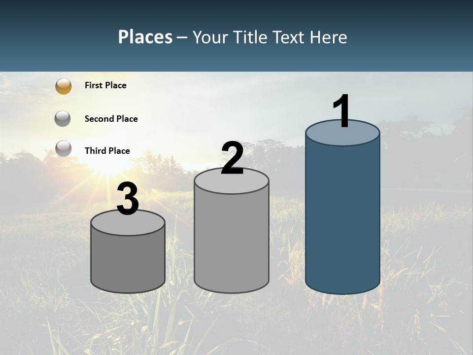 A Field Of Grass With The Sun Setting In The Background PowerPoint Template