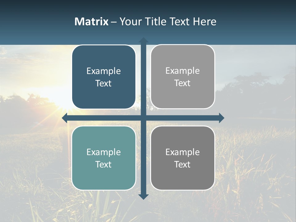 A Field Of Grass With The Sun Setting In The Background PowerPoint Template