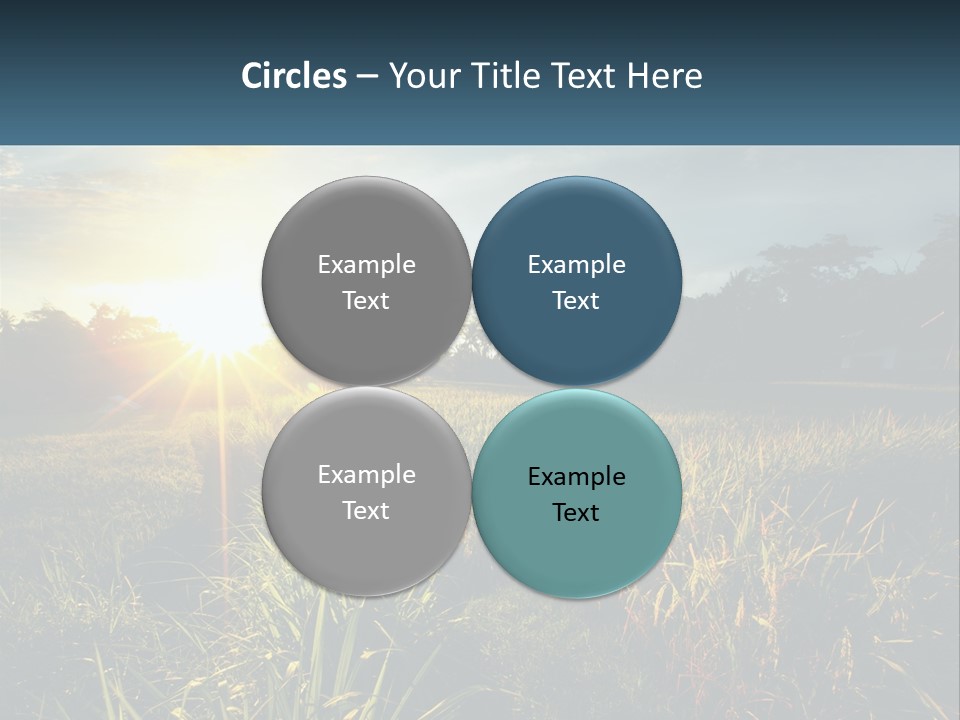 A Field Of Grass With The Sun Setting In The Background PowerPoint Template