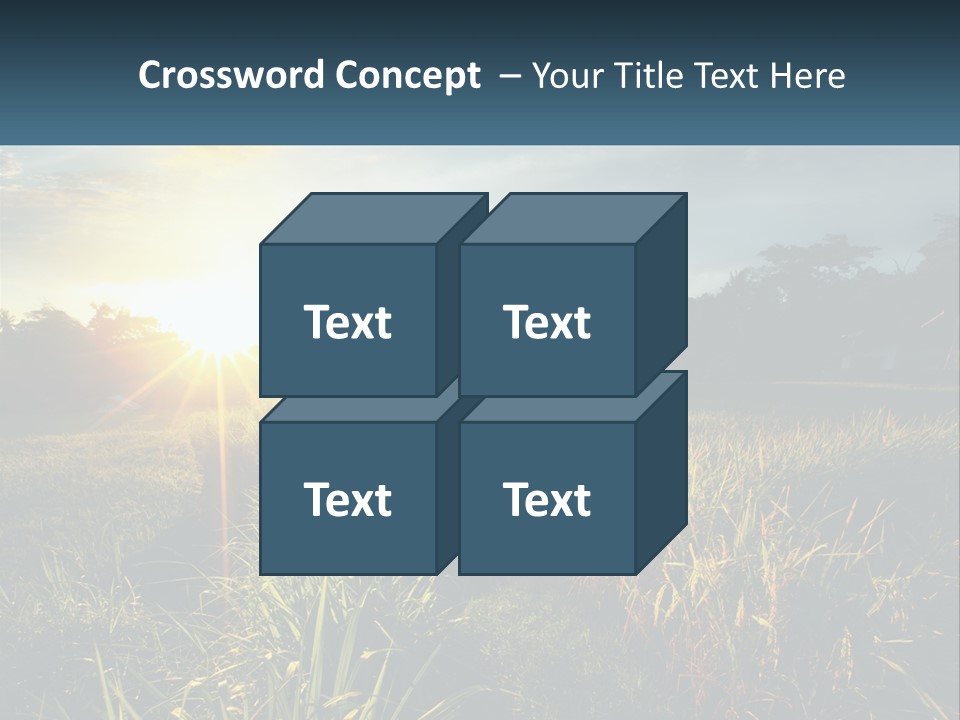 A Field Of Grass With The Sun Setting In The Background PowerPoint Template