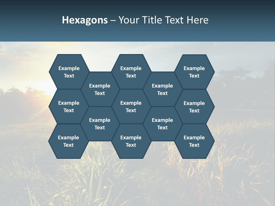 A Field Of Grass With The Sun Setting In The Background PowerPoint Template