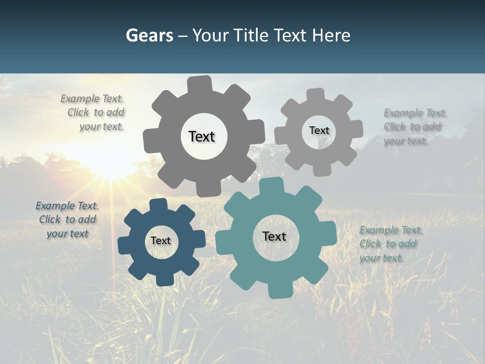 A Field Of Grass With The Sun Setting In The Background PowerPoint Template