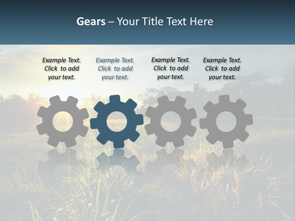 A Field Of Grass With The Sun Setting In The Background PowerPoint Template