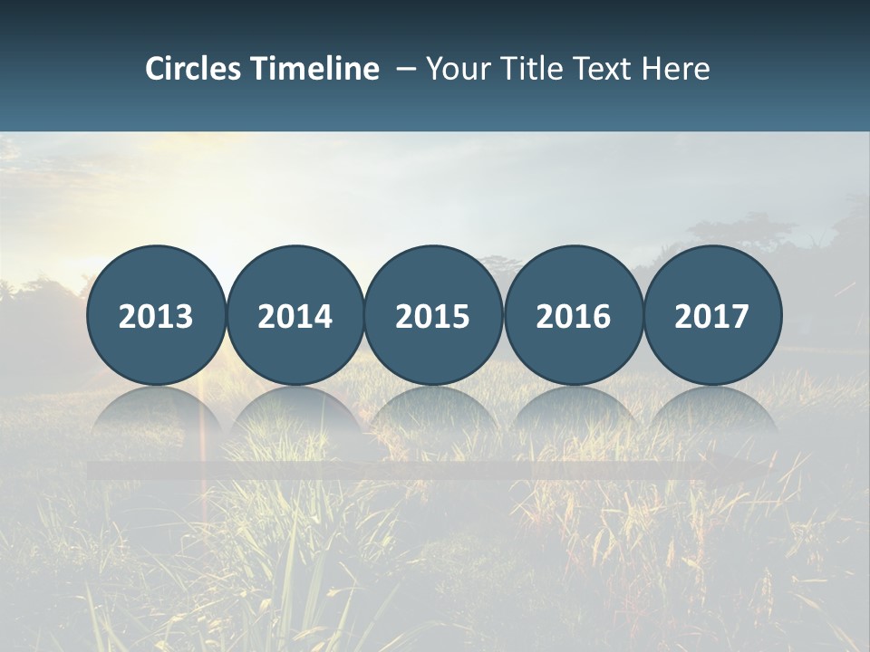 A Field Of Grass With The Sun Setting In The Background PowerPoint Template