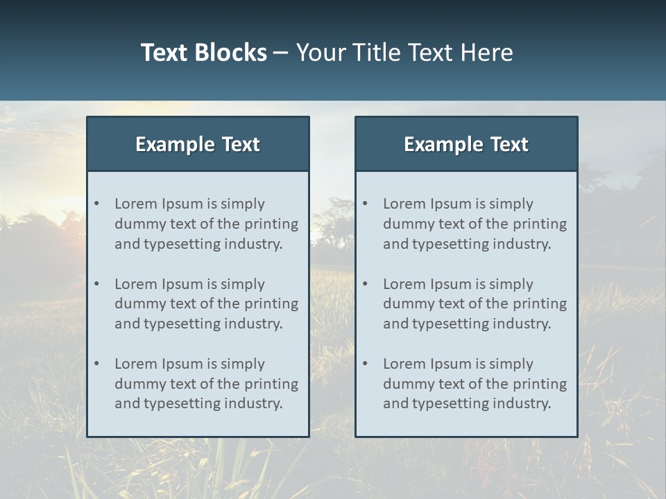 A Field Of Grass With The Sun Setting In The Background PowerPoint Template