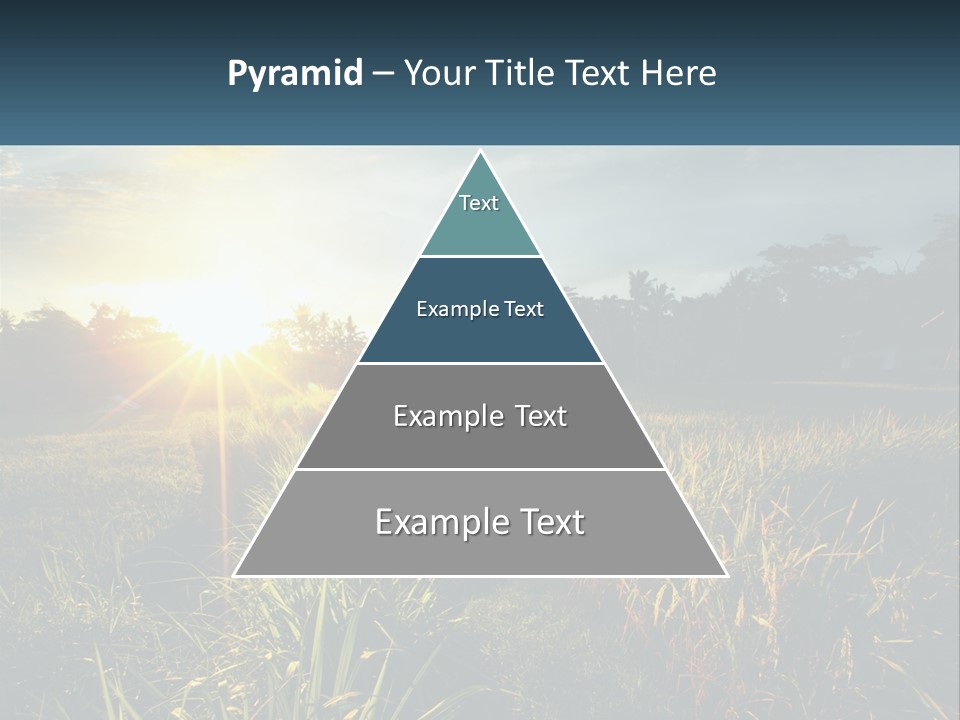 A Field Of Grass With The Sun Setting In The Background PowerPoint Template