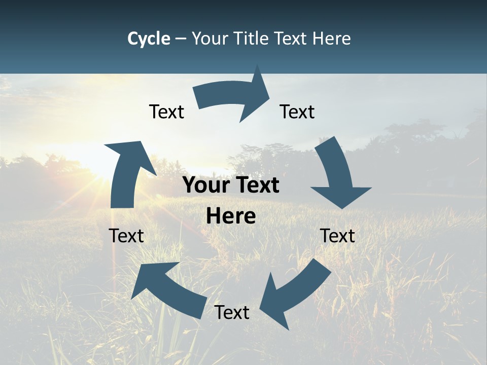A Field Of Grass With The Sun Setting In The Background PowerPoint Template