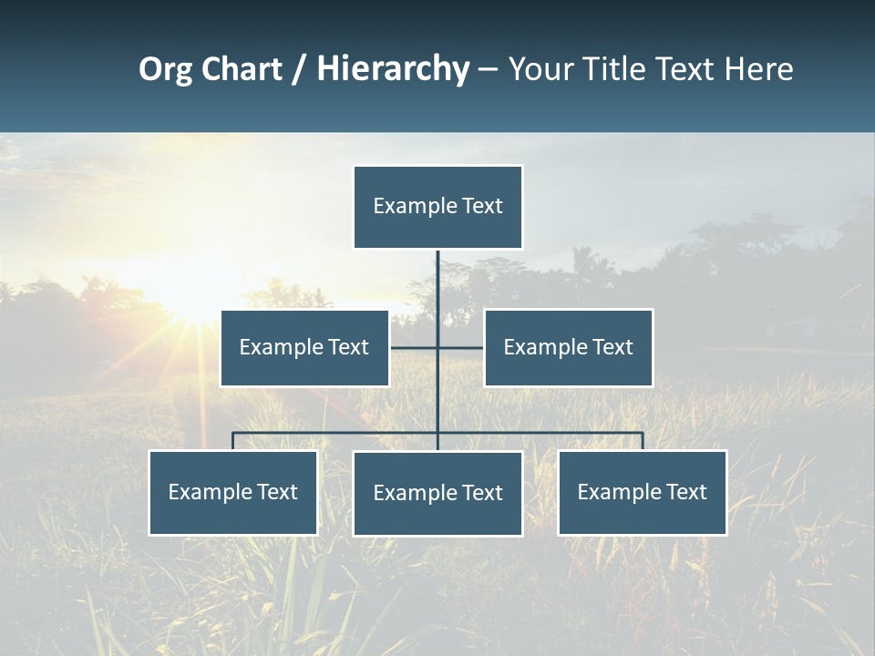 A Field Of Grass With The Sun Setting In The Background PowerPoint Template