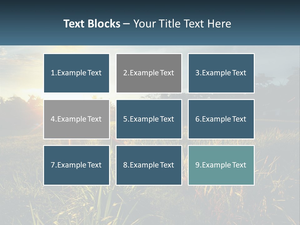 A Field Of Grass With The Sun Setting In The Background PowerPoint Template