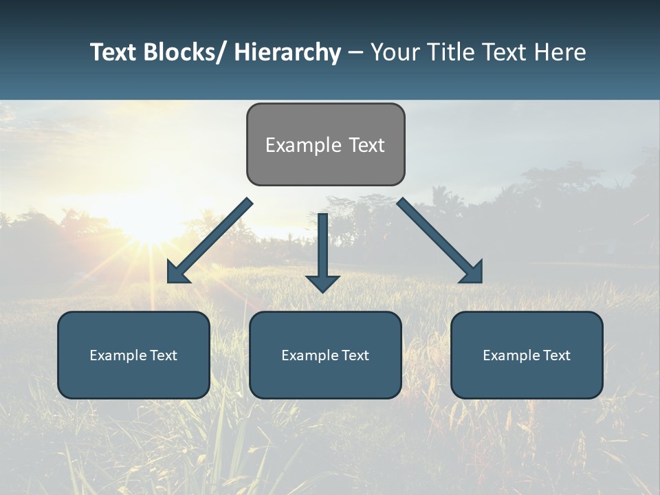 A Field Of Grass With The Sun Setting In The Background PowerPoint Template