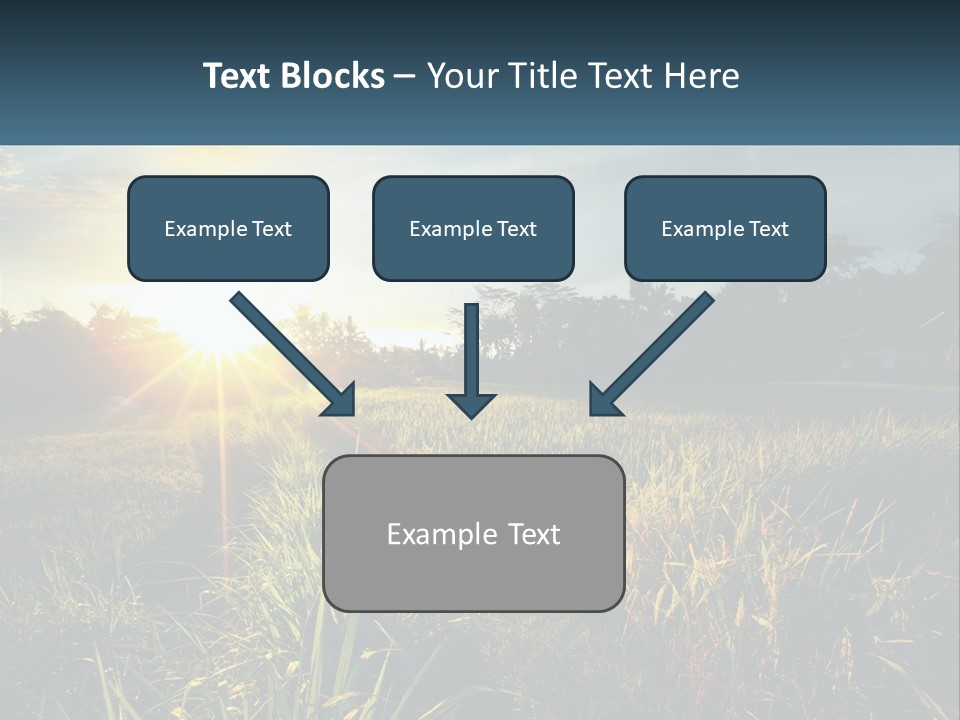 A Field Of Grass With The Sun Setting In The Background PowerPoint Template
