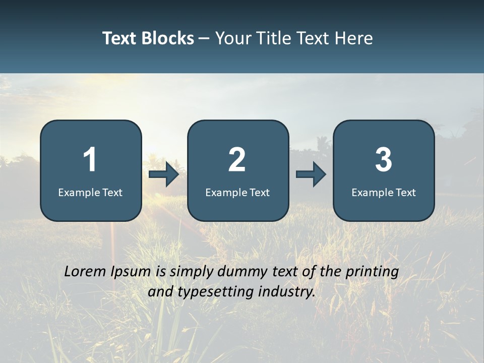 A Field Of Grass With The Sun Setting In The Background PowerPoint Template