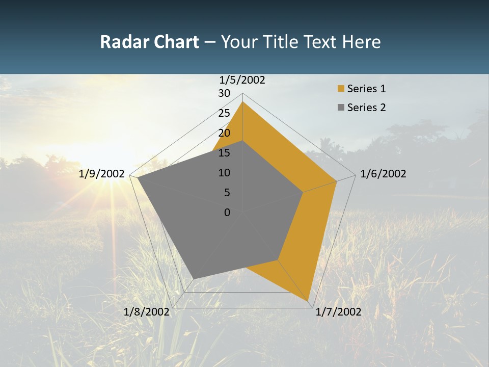 A Field Of Grass With The Sun Setting In The Background PowerPoint Template