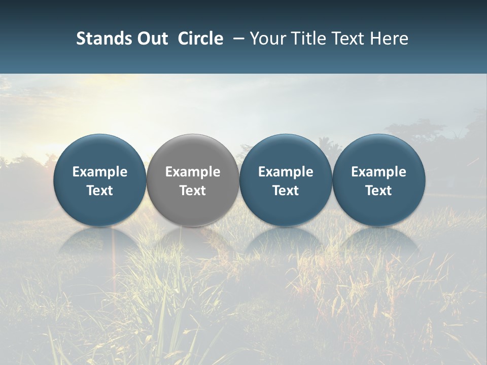 A Field Of Grass With The Sun Setting In The Background PowerPoint Template