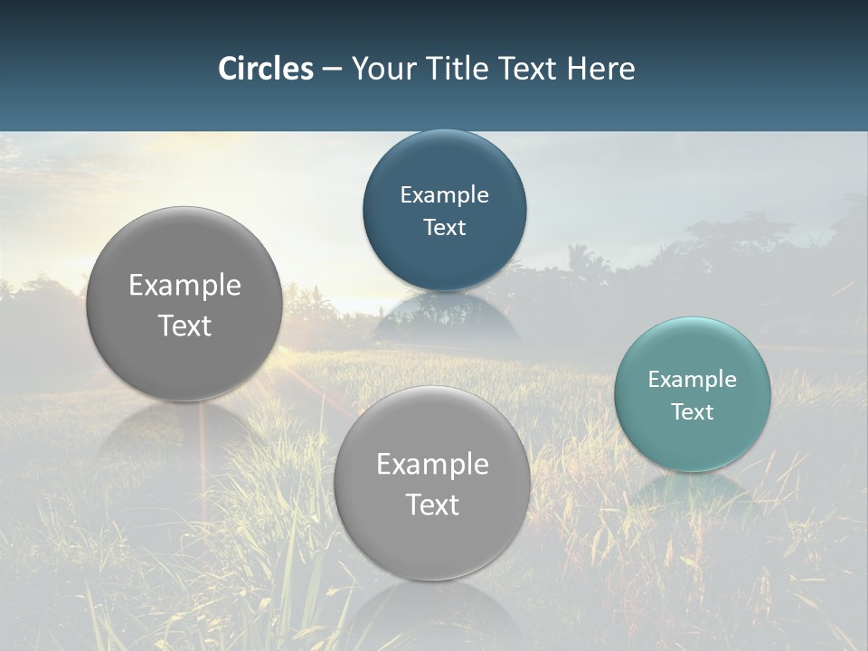 A Field Of Grass With The Sun Setting In The Background PowerPoint Template