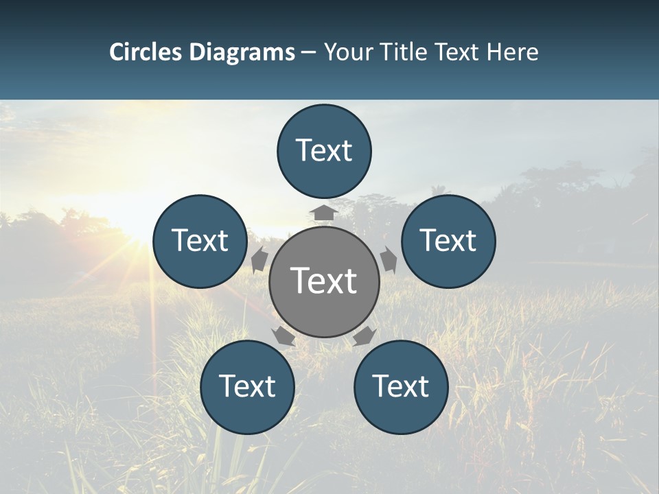 A Field Of Grass With The Sun Setting In The Background PowerPoint Template