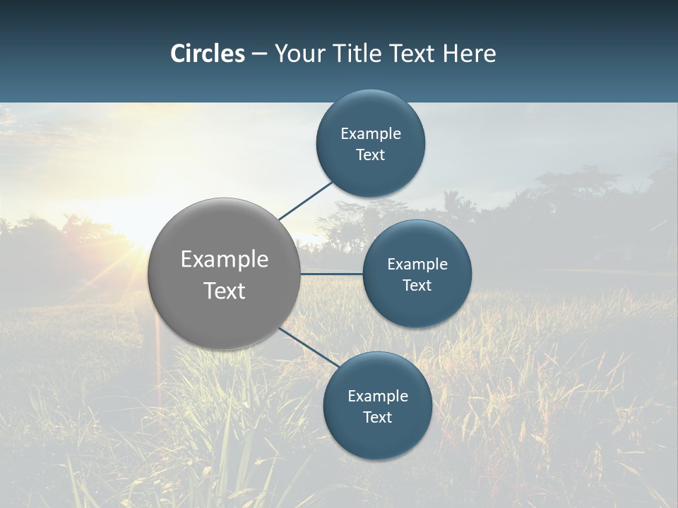 A Field Of Grass With The Sun Setting In The Background PowerPoint Template