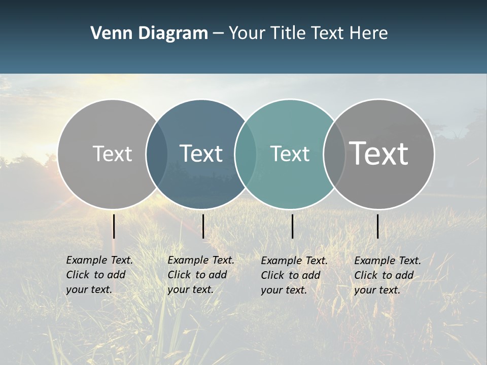 A Field Of Grass With The Sun Setting In The Background PowerPoint Template