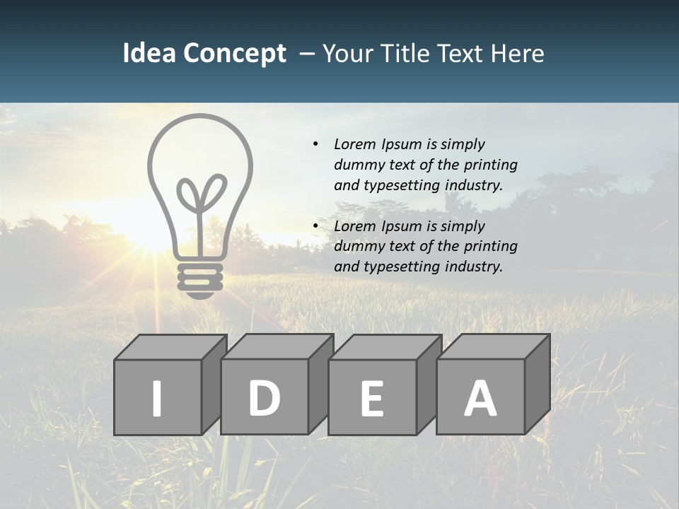 A Field Of Grass With The Sun Setting In The Background PowerPoint Template