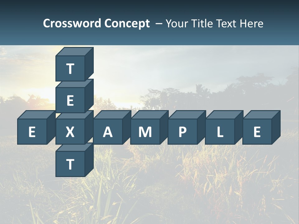 A Field Of Grass With The Sun Setting In The Background PowerPoint Template